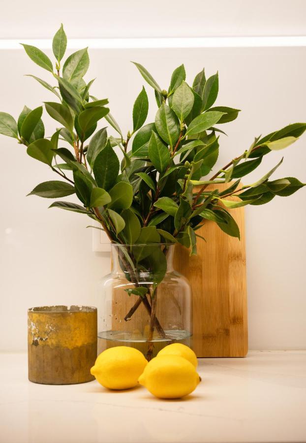 Strelitzia Apartment, By Bolhao Residences Porto Bagian luar foto